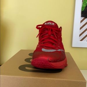 LeBron 10 lows University red